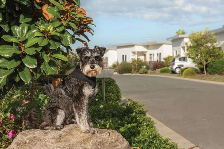 2 Te Okuroa Drive Papamoa Beach_12