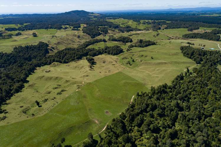 2140 Pyes Pa Road Kaimai_8