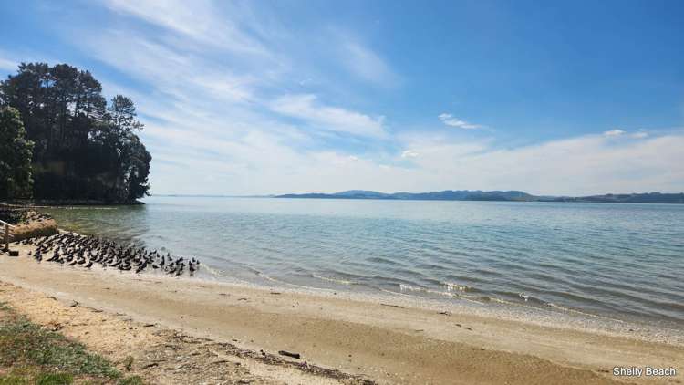 21 Omana Avenue Helensville_29