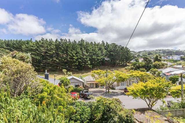 21 Royal Street Berhampore_1