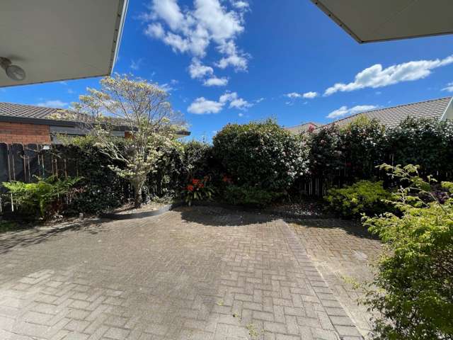 17 Abelia Avenue Mt Maunganui_4