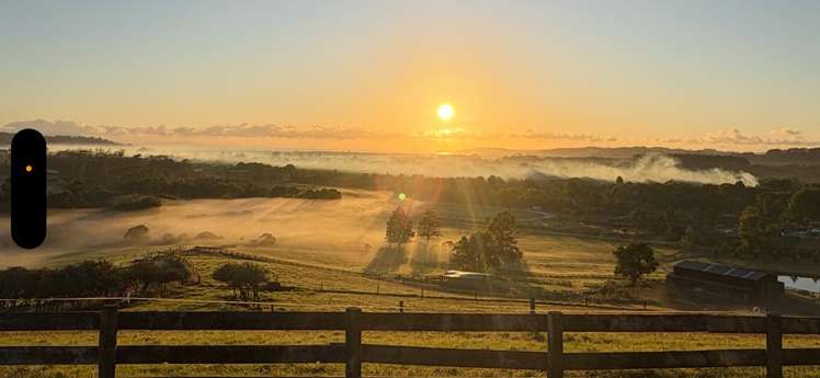 1166 Leigh Road Matakana_22