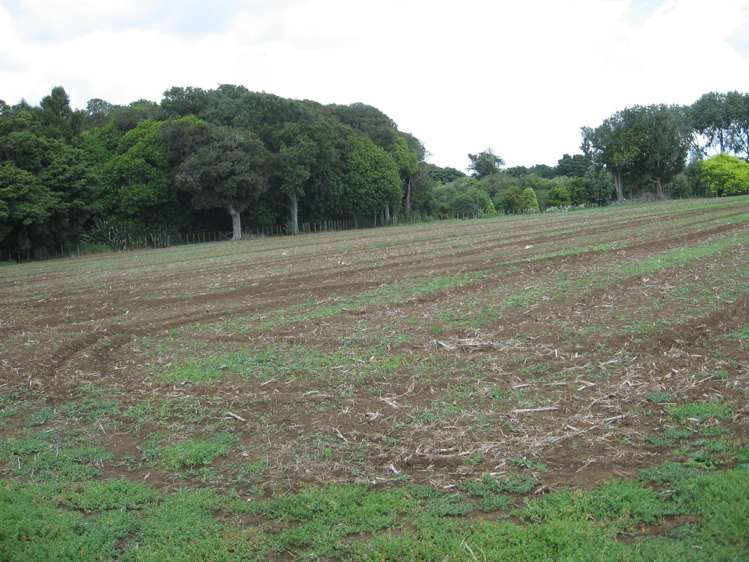 11 Hill Road Waiuku_2