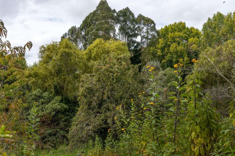 108 Mangapapa Road Waituna West_23