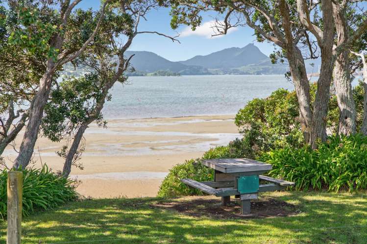 195 One Tree Point Road One Tree Point_5