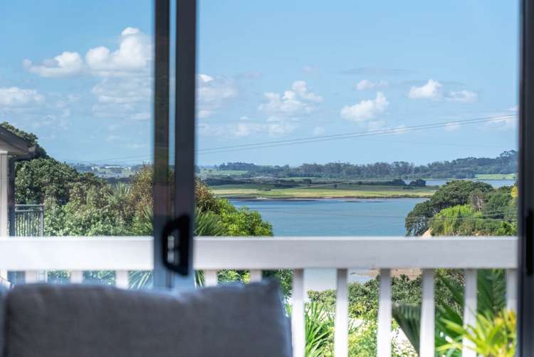 65a Frederick Street Hillsborough_10