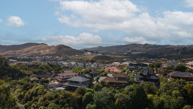 159 Westchester Drive Churton Park_29