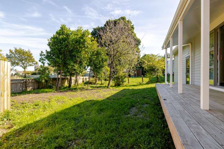 7 Fagan Street Bulls_17