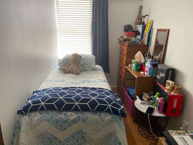 1/3 Wyllie Road Papatoetoe_3