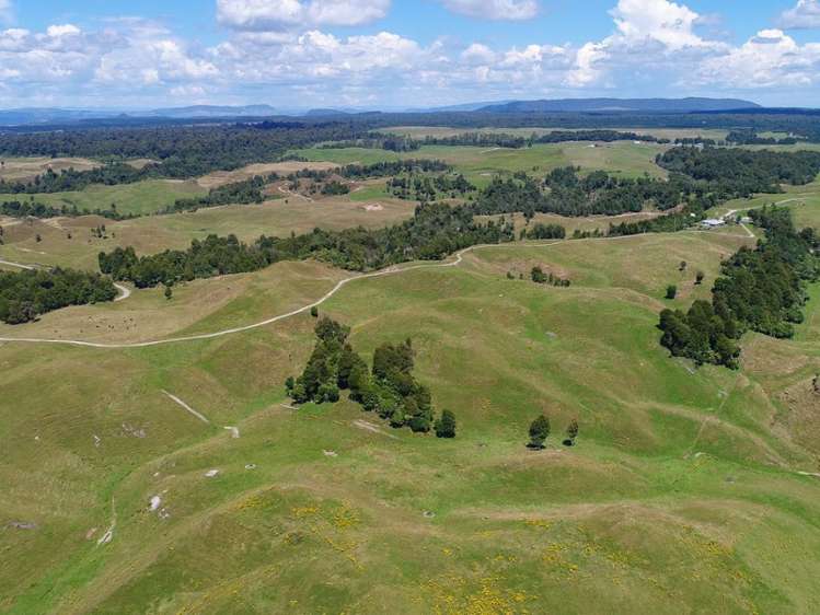 627 South Road Mamaku_13