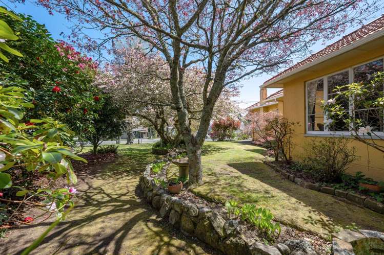 23 Lynmore Avenue Lynmore_21