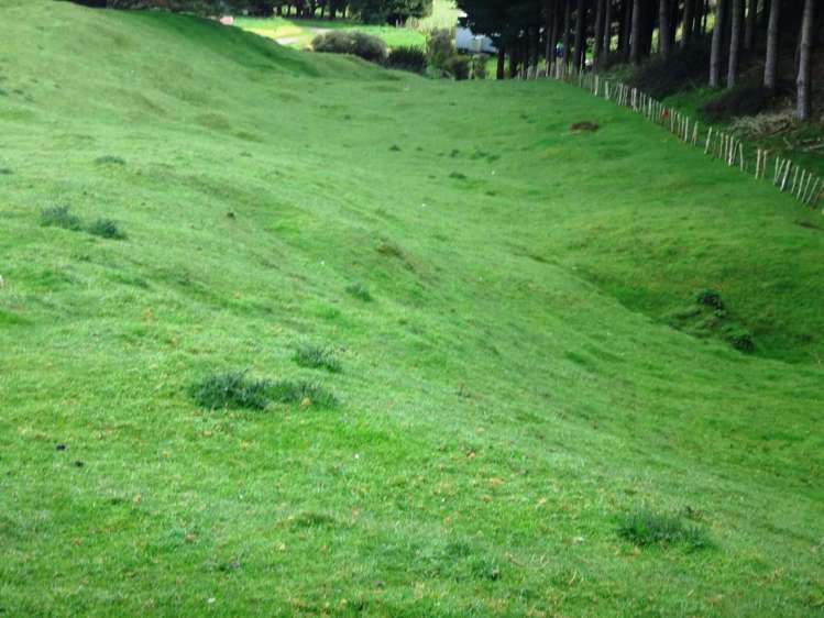 18 Kirk Street Matawai_15