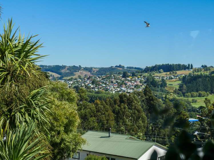 20 Owen Street Green Island_4