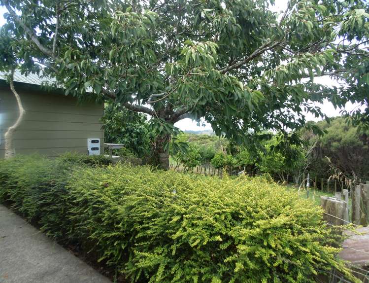 443 Kohanga Road Onewhero_12