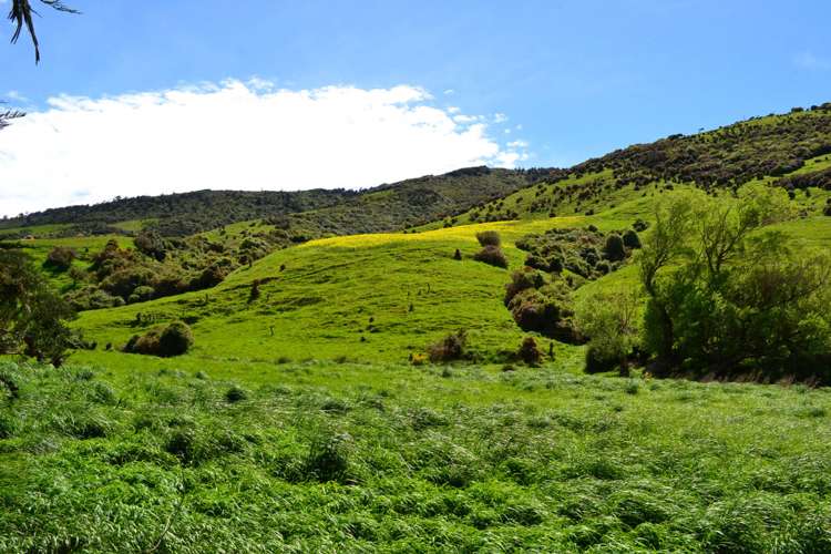 771 Hunt Road Catlins Surrounds_1