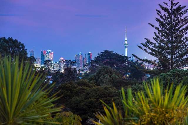 11 City View Terrace Birkenhead_1