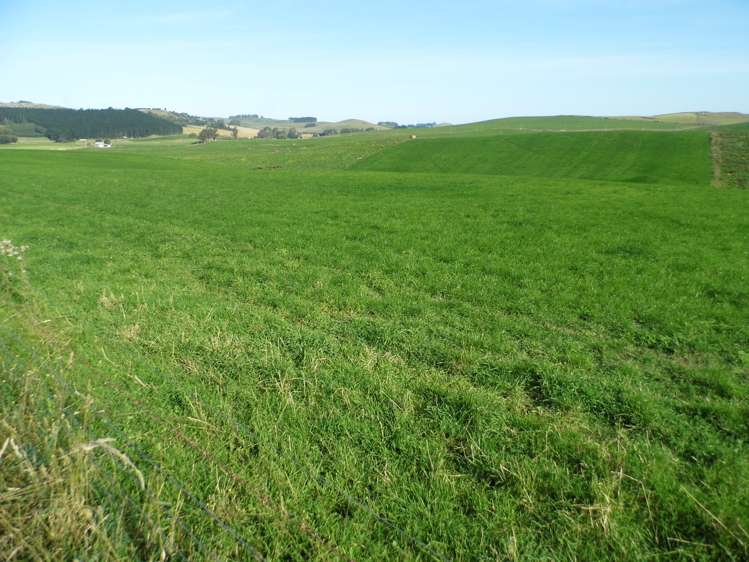 277 Cowans Road Enfield and Surrounds_3