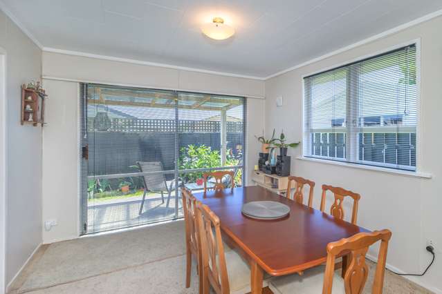 173 Tiro Tiro Road Levin_4