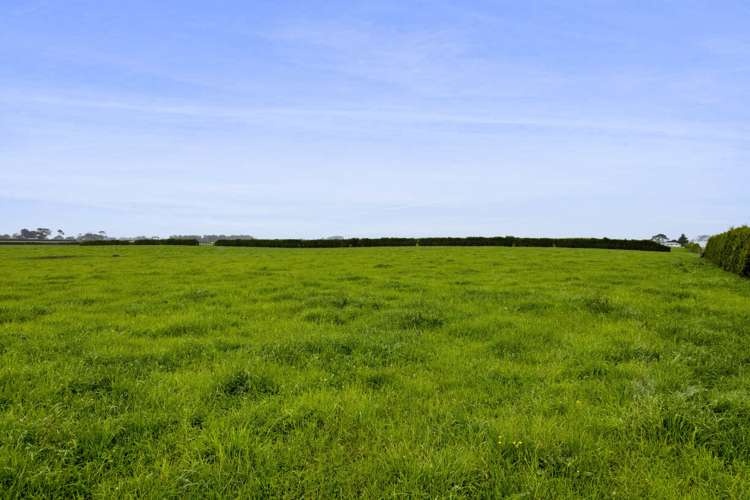 256 Lower Stuart Road Eltham_0