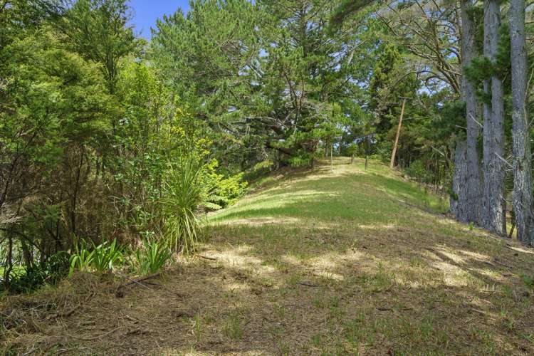 152 Wright Road Dairy Flat_16