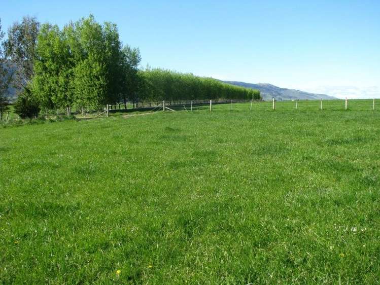 369 Black Gully Road West West Otago Surrounds_9