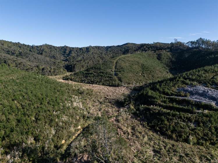 683F Puketona Road Haruru_27