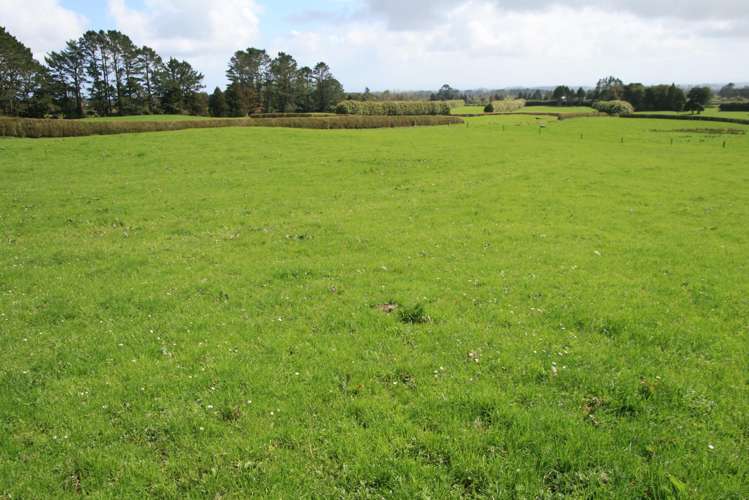 1996 Egmont Road Inglewood_11