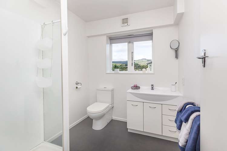 19 Mascot Street Tawa_13