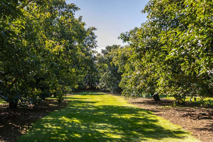 80 Prestidge Road Aongatete_26