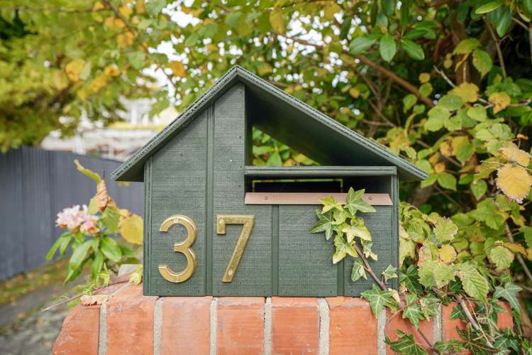 37 Lewis Street_3