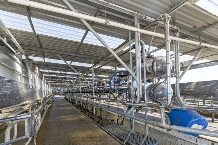 89 Brookstead Road Island Cliff_6