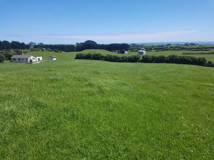 139 Bayly Road Warea_10