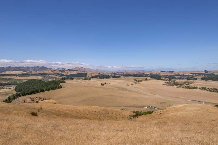 175 Mendip Road Cheviot_16