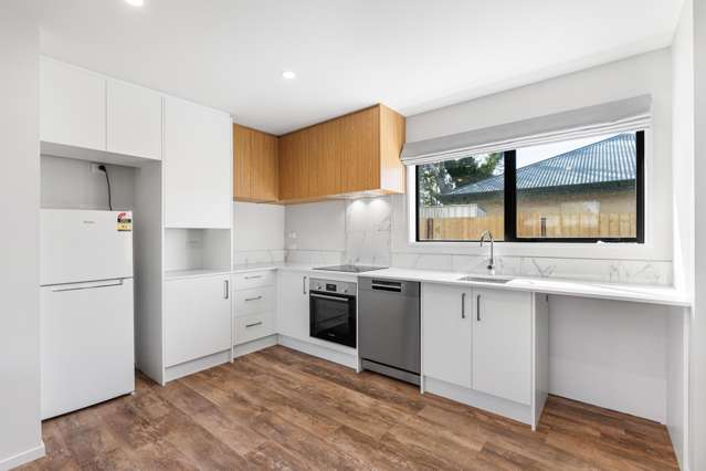 35D Wembley Street Sydenham_2