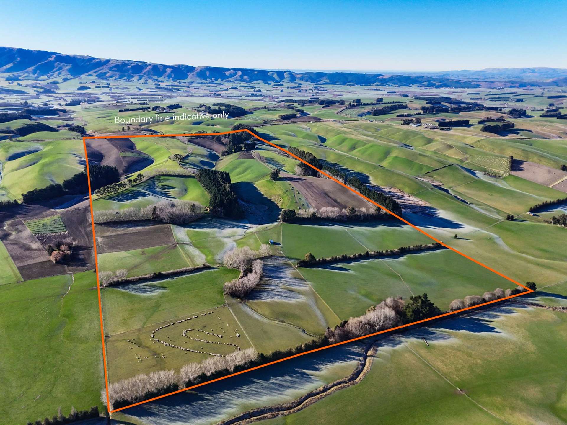 59 Captains Bridge Road Waikoikoi_0