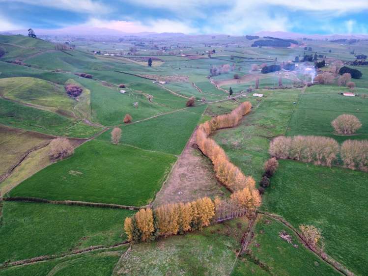 93 Blackett Road Otorohanga_10