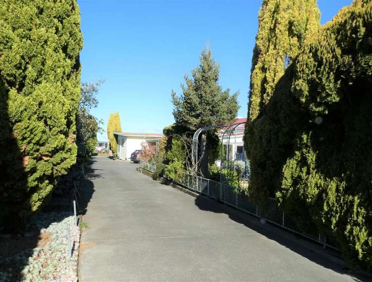 206 Willowbank Avenue Meeanee_7