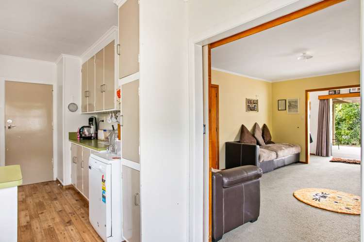 207 Harris Street Inner Kaiti_12