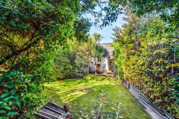 6b Williams Street Fernhill/Sunshine Bay_17