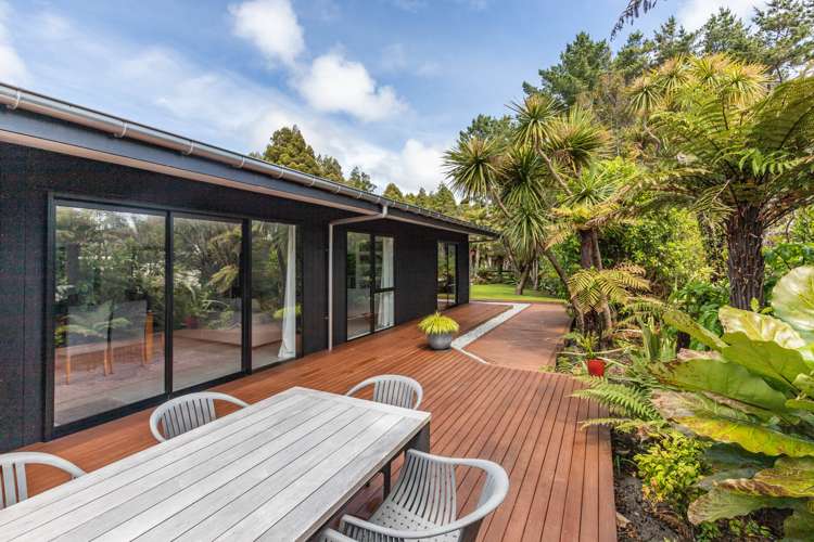 23 Pandora Avenue Camerons_16