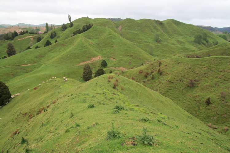 200 Tahora Road Tahora_7