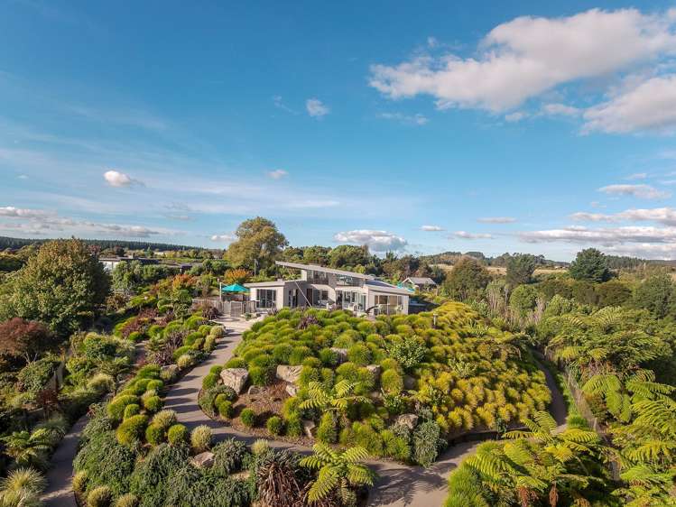 32 Collingwood Drive Tikitere_35