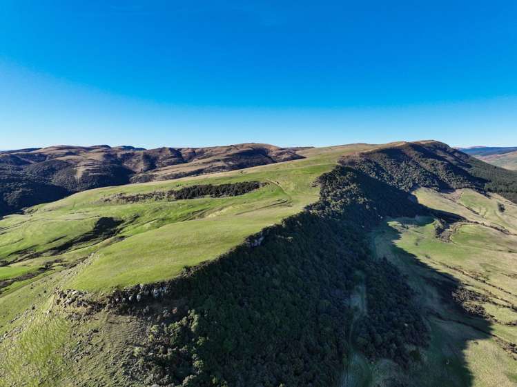 Hole and Corner Road Ferndale_6