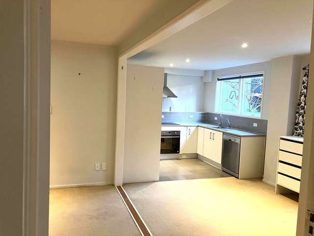 16A Collie Street Hillpark_4