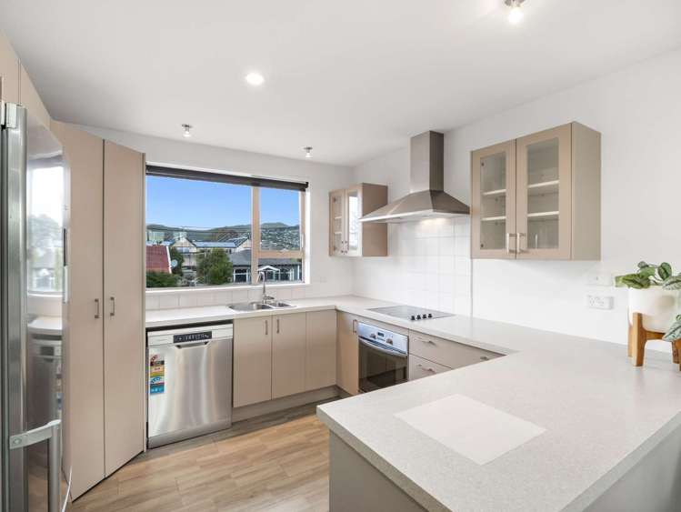 25c Montrose Street Sydenham_8