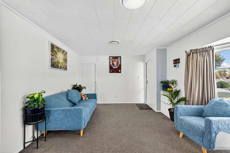 20 Norfolk Street Tamatea_10