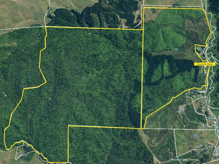 303 Cogswell Road Raglan_26