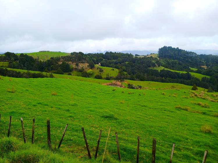 Lot 1 & 3 Fisher-Riley Road Kaitaia_3