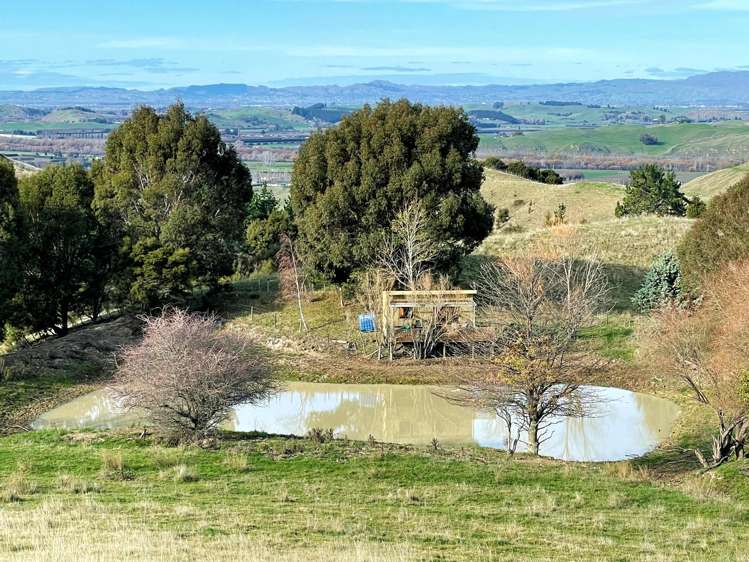 471 Apley Road Puketapu_11