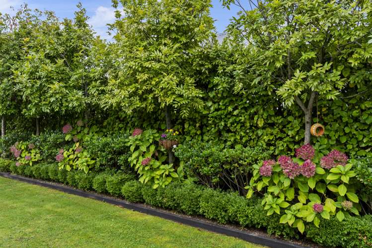 3 Breton Road Karaka_25